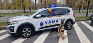 AVR: Noul sistem electronic naţional "UUM&DS-RO" va înlocui sistemul central al Comisiei Europene